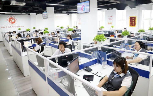 區(qū)政務服務管理局與醫(yī)保局聯動推進“未訴先辦” 信息咨詢服務提升群眾滿意度